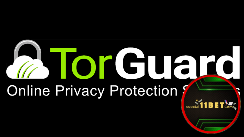 Cách fake IP bằng TorGuard VPN hữu ích dành cho người dùng Việt Nam